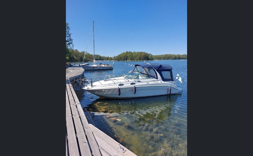 Sea Ray Sundancer 275-kuva-1